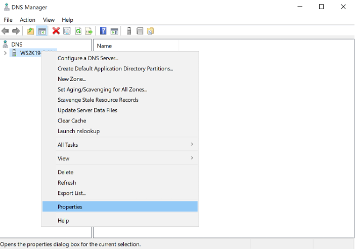 DNS Server Group Properties